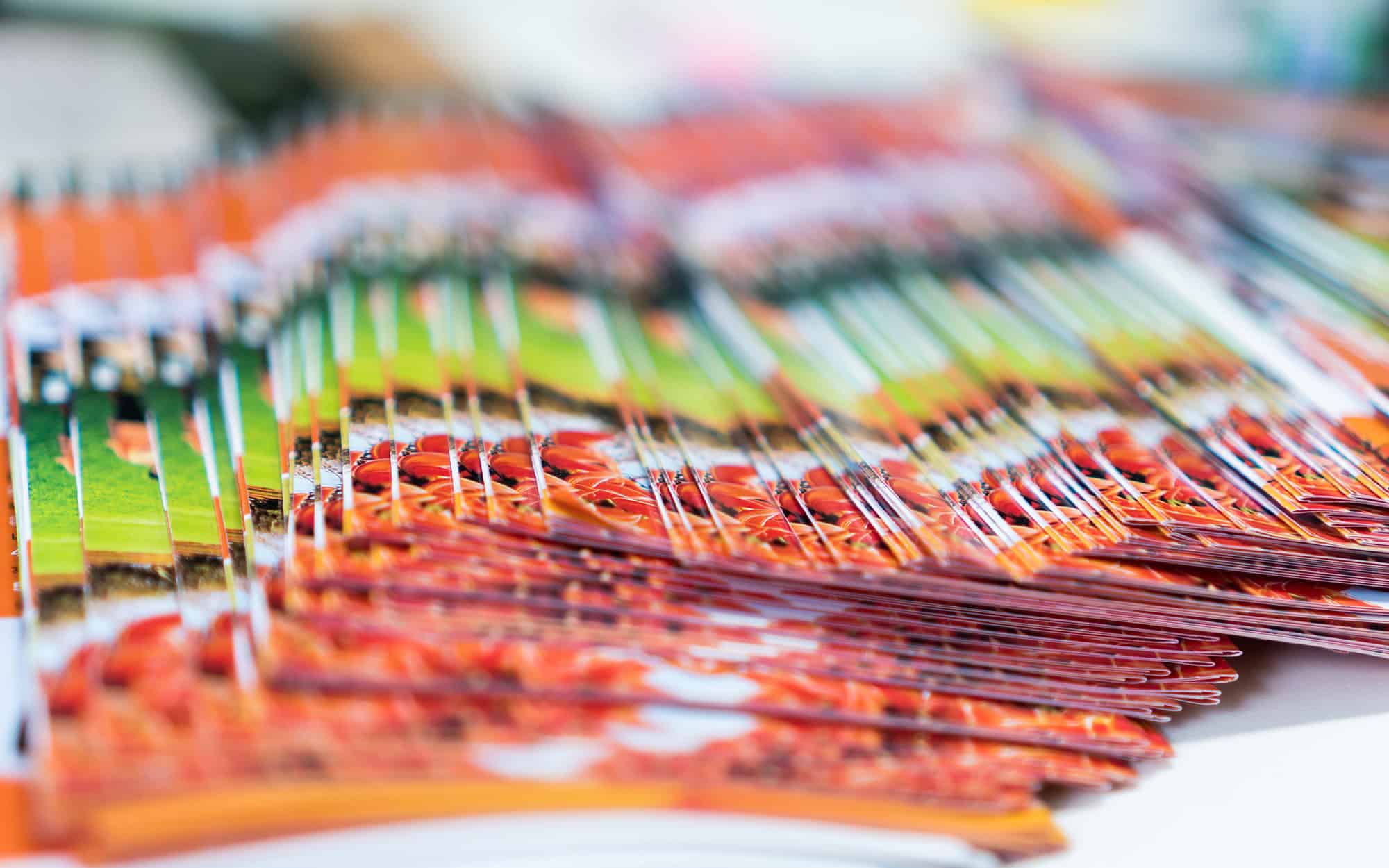 Close Up Of A Stack Of Brochures