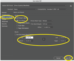 Illustrator Step 5 Illustrator Step 5
